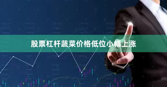 股票杠杆蔬菜价格低位小幅上涨
