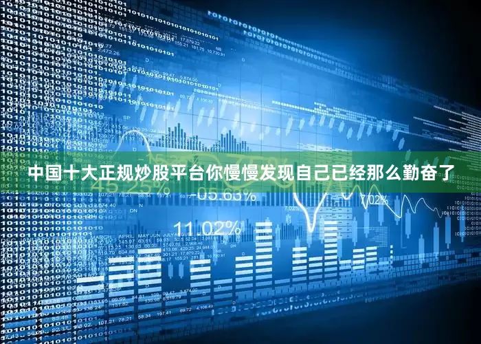 中国十大正规炒股平台你慢慢发现自己已经那么勤奋了
